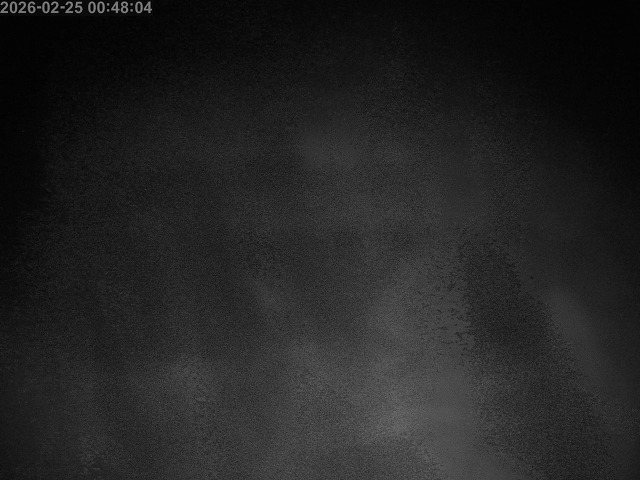 下市川１2026/02/25 2:40:00