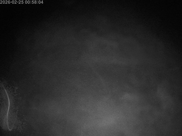 下市川１2026/02/25 2:40:00