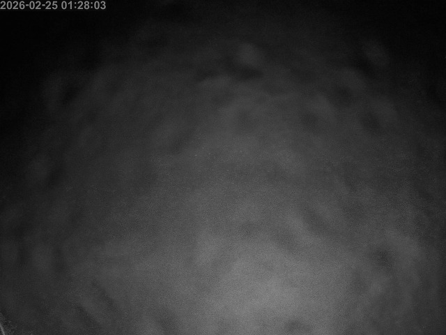 下市川１2026/02/25 2:40:00