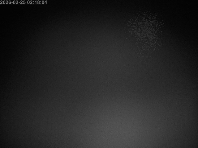 下市川１2026/02/25 2:40:00