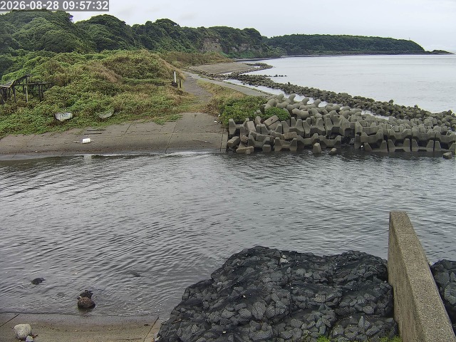 下市川１2026/08/28 17:30:00