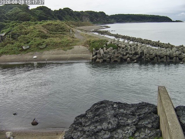 下市川１2026/08/28 17:30:00
