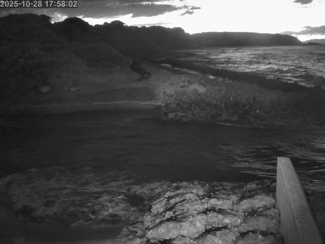 下市川12025/10/29 12:10:00