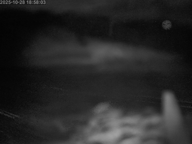 下市川12025/10/29 12:10:00