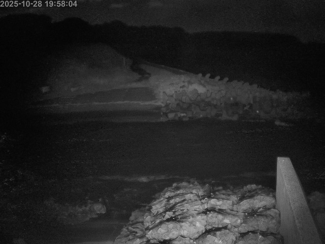 下市川12025/10/29 12:10:00