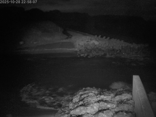 下市川12025/10/29 12:10:00