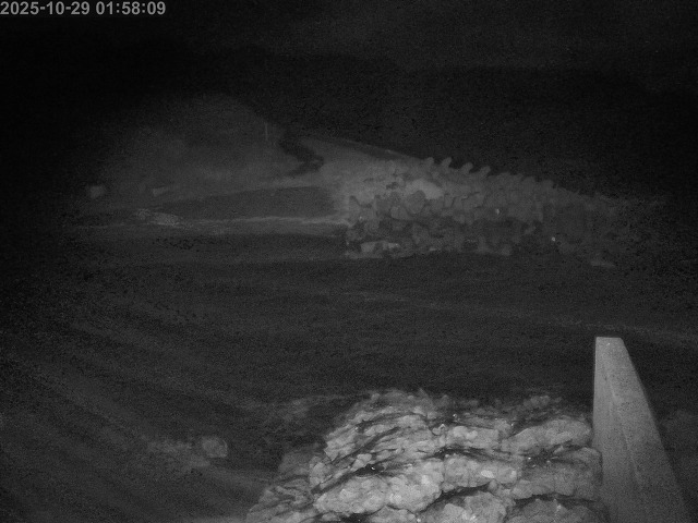 下市川12025/10/29 12:10:00