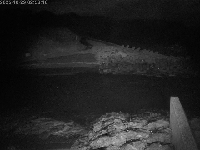 下市川12025/10/29 12:10:00