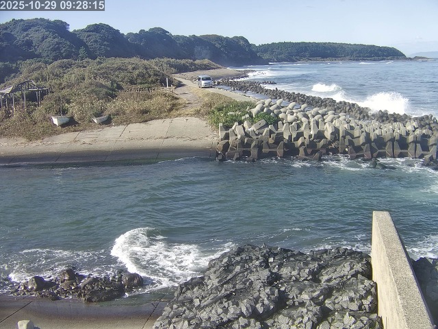 下市川12025/10/29 12:10:00