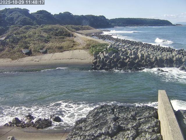 下市川12025/10/29 12:10:00