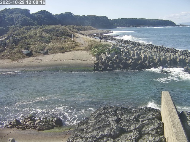 下市川12025/10/29 12:10:00