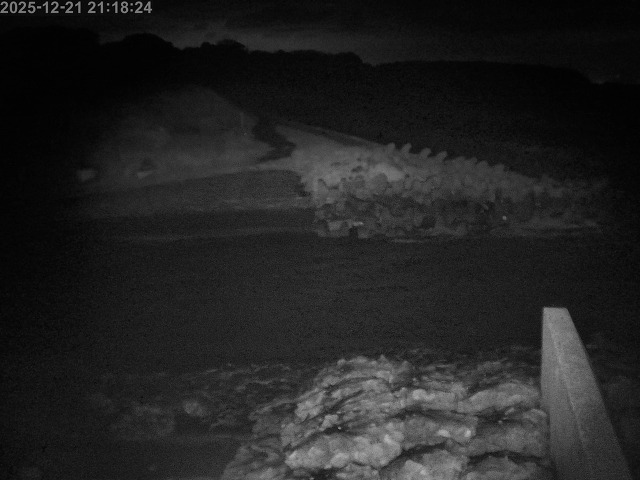 下市川１2025/12/22 1:00:00