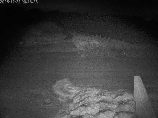 下市川１2025/12/22 1:00:00