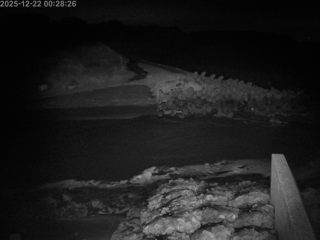 下市川１2025/12/22 1:00:00