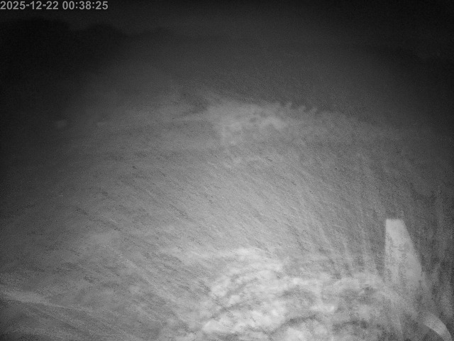 下市川１2025/12/22 1:00:00