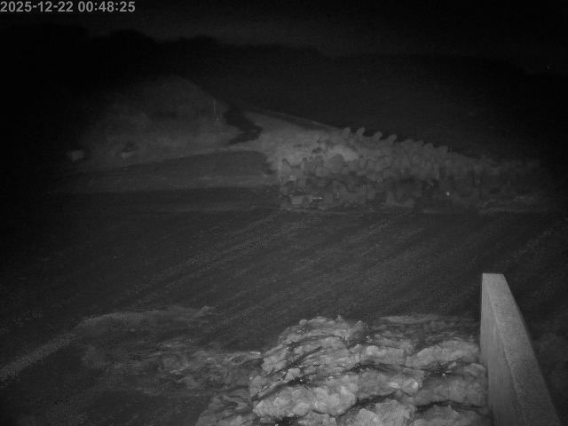 下市川１2025/12/22 1:00:00