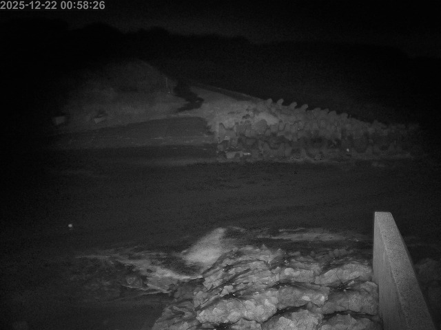 下市川１2025/12/22 1:00:00