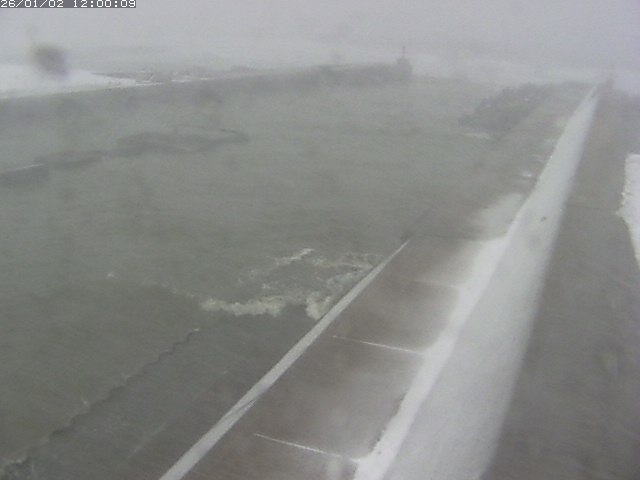 由良川１2026/01/03 7:50:00