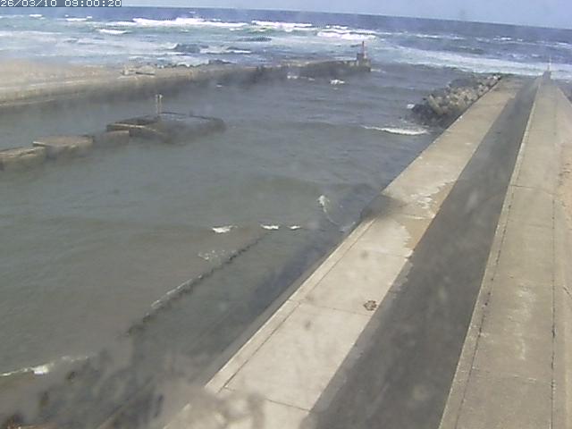 由良川１2026/03/11 9:30:00