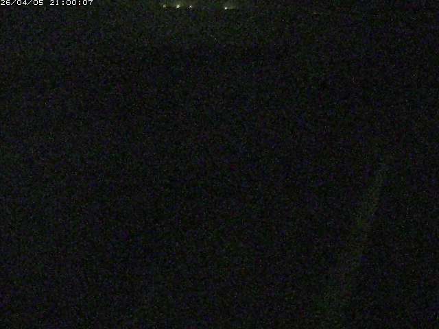 由良川１2026/04/06 11:30:00