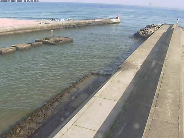 由良川１2026/04/06 11:30:00