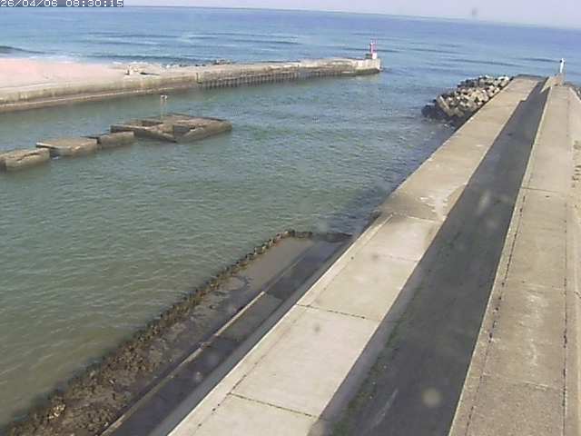 由良川１2026/04/06 11:30:00