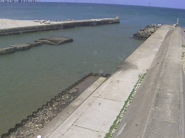 由良川１2026/04/20 14:50:00