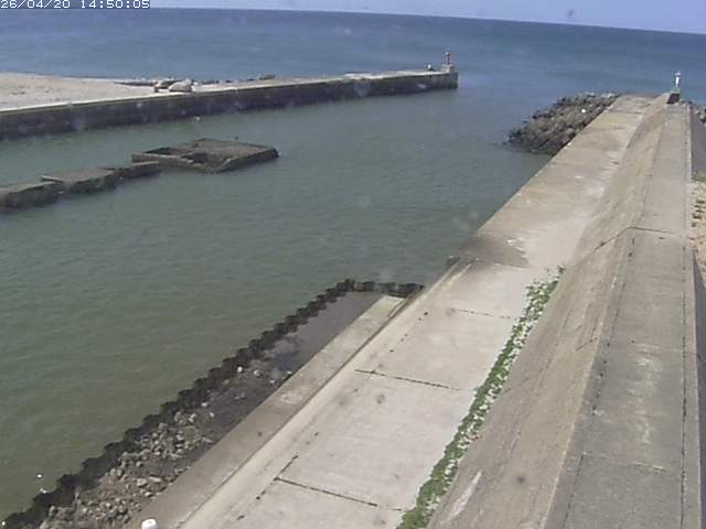 由良川１2026/04/20 14:50:00