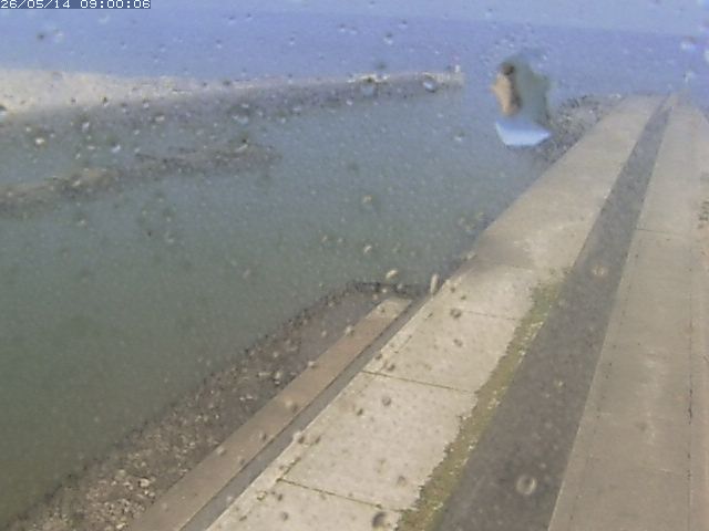 由良川１2026/05/14 16:30:00