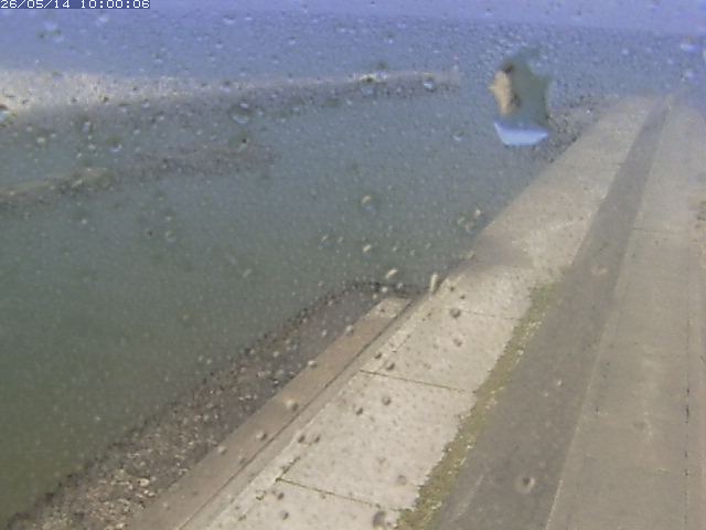 由良川１2026/05/14 16:30:00