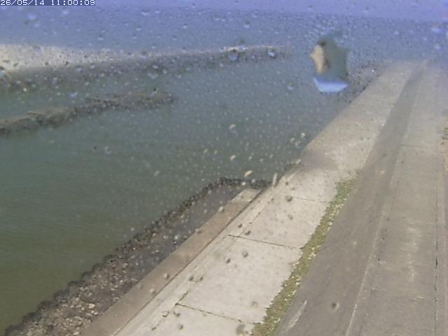 由良川１2026/05/14 16:30:00
