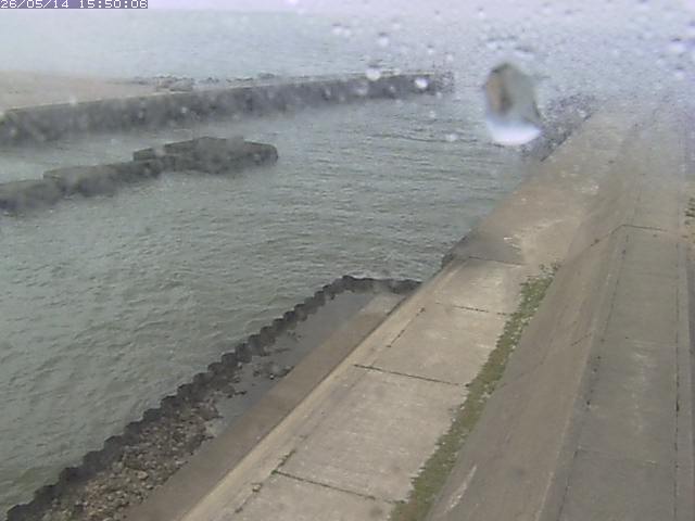 由良川１2026/05/14 16:30:00