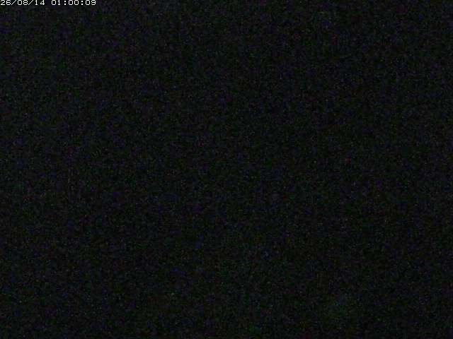 由良川１2026/08/14 19:00:00