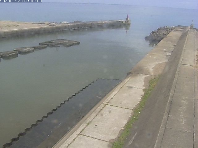 由良川１2026/08/17 20:00:00