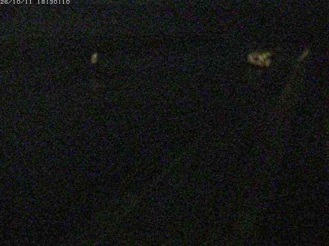 由良川１2026/10/11 18:50:00