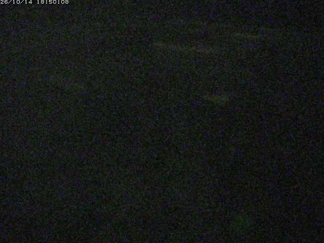 由良川１2026/10/14 19:00:00