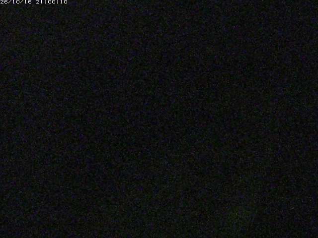 由良川１2026/10/17 20:20:00