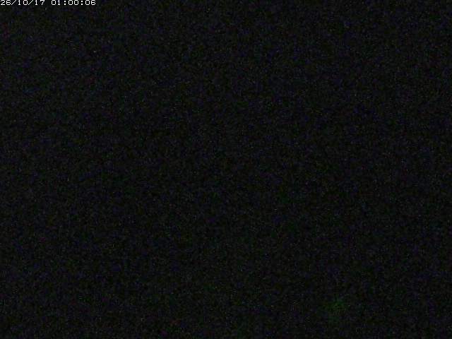 由良川１2026/10/17 20:20:00