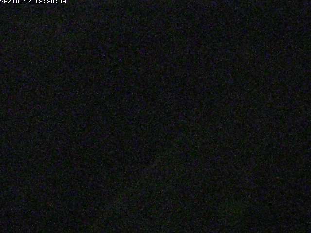 由良川１2026/10/17 20:20:00