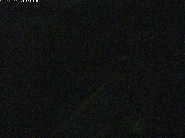 由良川１2026/10/17 20:20:00