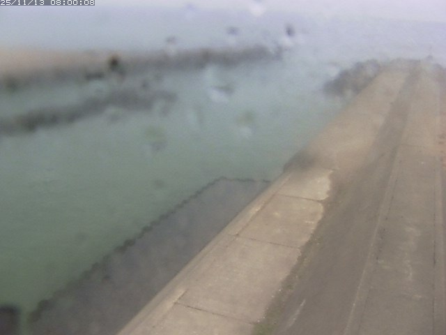 由良川１2025/11/13 16:00:00