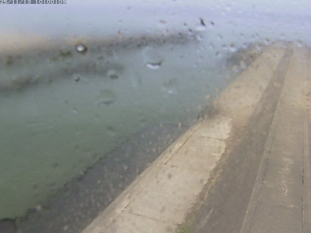 由良川１2025/11/13 16:00:00