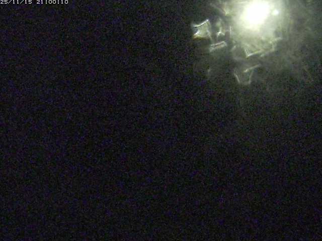 由良川１2025/11/16 16:00:00