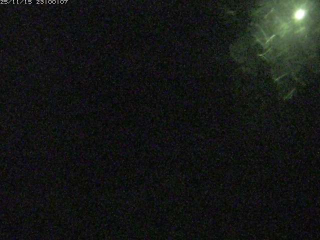 由良川１2025/11/16 16:00:00