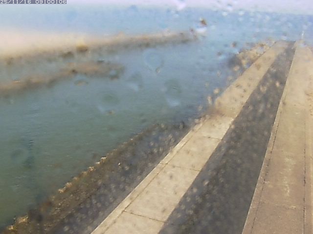 由良川１2025/11/16 16:00:00