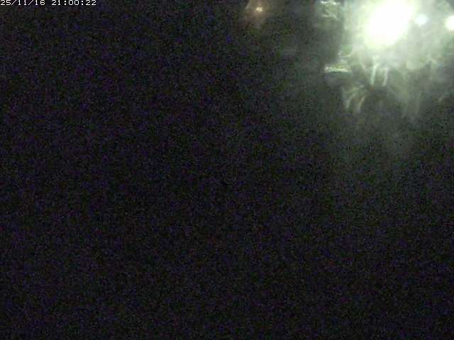 由良川１2025/11/17 17:00:00