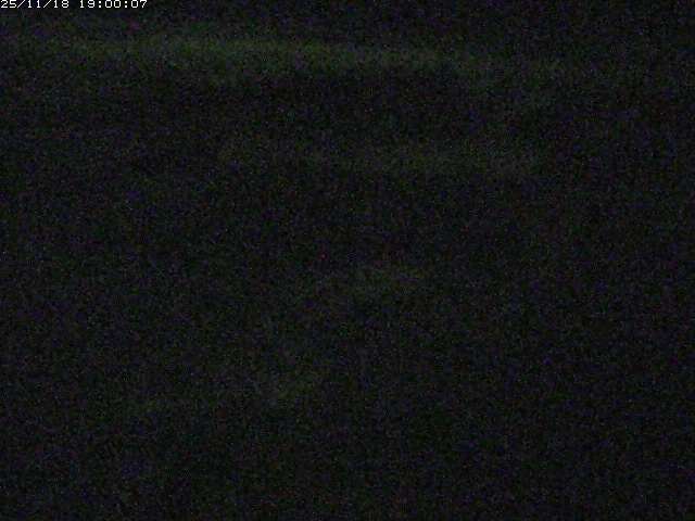 由良川１2025/11/19 16:10:00