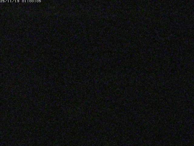 由良川１2025/11/19 16:10:00