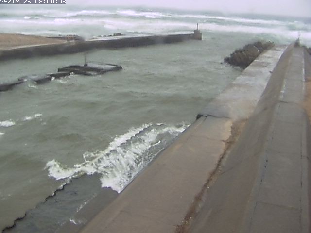 由良川１2025/12/26 9:30:00