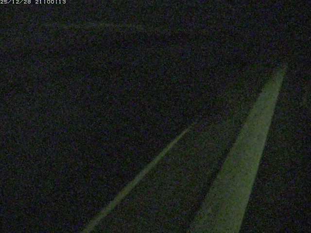 由良川１2025/12/29 11:00:00